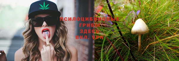 герыч Михайлов