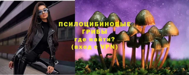 Галлюциногенные грибы Psilocybine cubensis  Калязин 